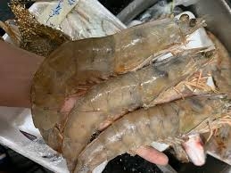 جمبرى جامبو